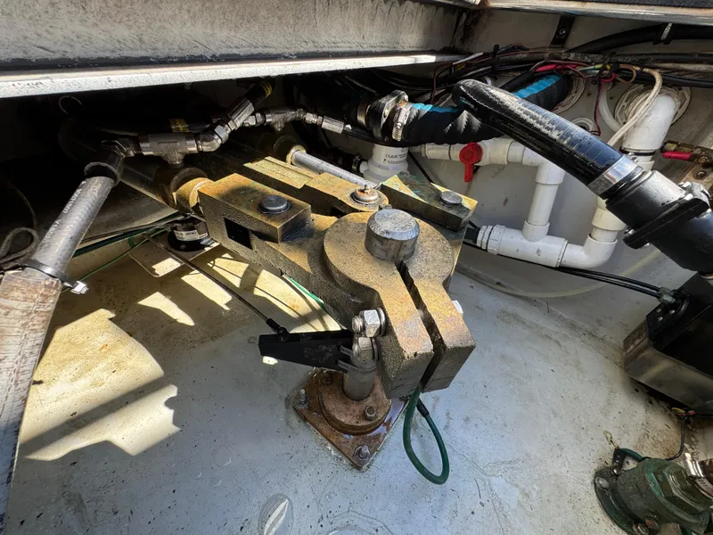 Slide: The Image of Northern Bay 36 2009 - 96