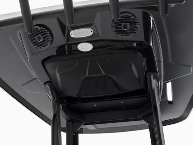 Slide: The Image of Yamaha 255 FSH Sport E 2025 - 30