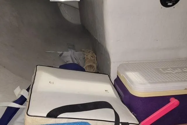 Slide: The Image of Interior of a 1988 J Boats J/22 sailboat with storage items and cooler. - 7