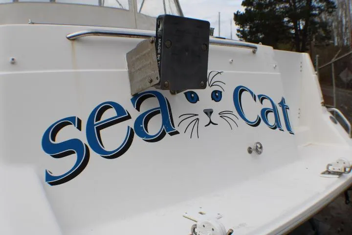 Slide: The Image of 1998 Bayliner 2655 Ciera Sunbridge with "Sea Cat" graphic on the stern. - 15