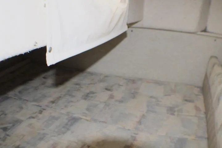 Slide: The Image of 1998 Bayliner 2655 Ciera Sunbridge cabin interior with cushioned seating and neutral tones. - 54