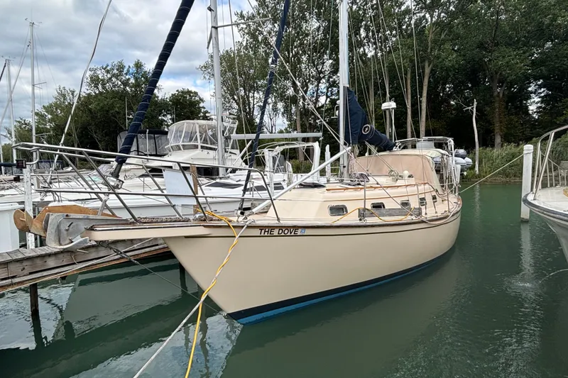 The Image of 1994 Island Packet 32 sailboat docked in a serene marina setting. - 0