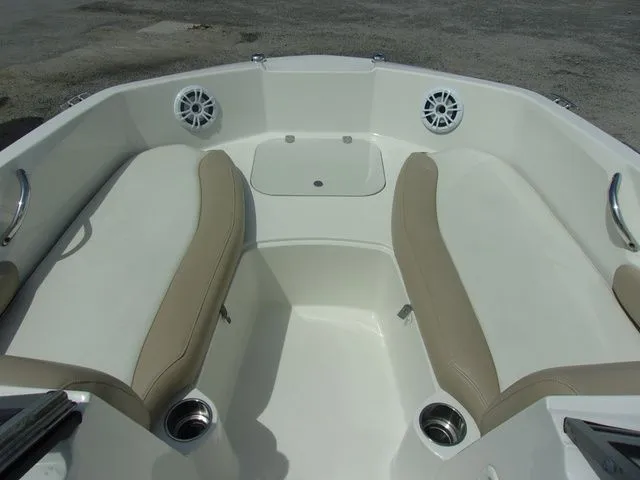 Slide: The Image of Stingray 191 DC 2019 - 3