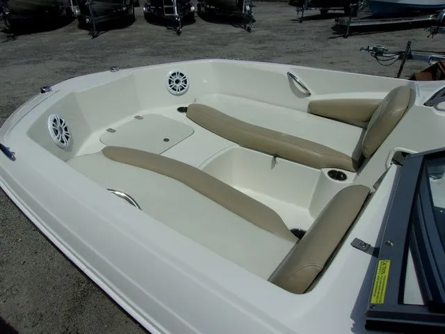 Slide: The Image of Stingray 191 DC 2019 - 4