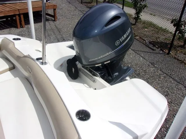 Slide: The Image of Stingray 191 DC 2019 - 9