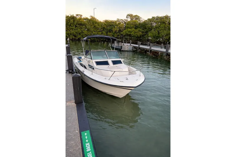The Image of 1989 Grady-White Offshore 242 boat docked in calm waters, surrounded by greenery. - 1
