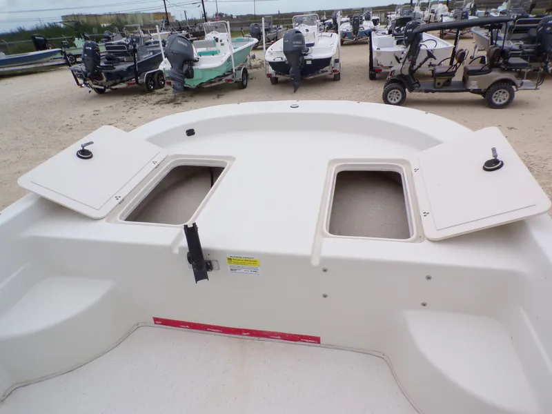 Slide: The Image of Carolina 238 DLV 2013 - 16