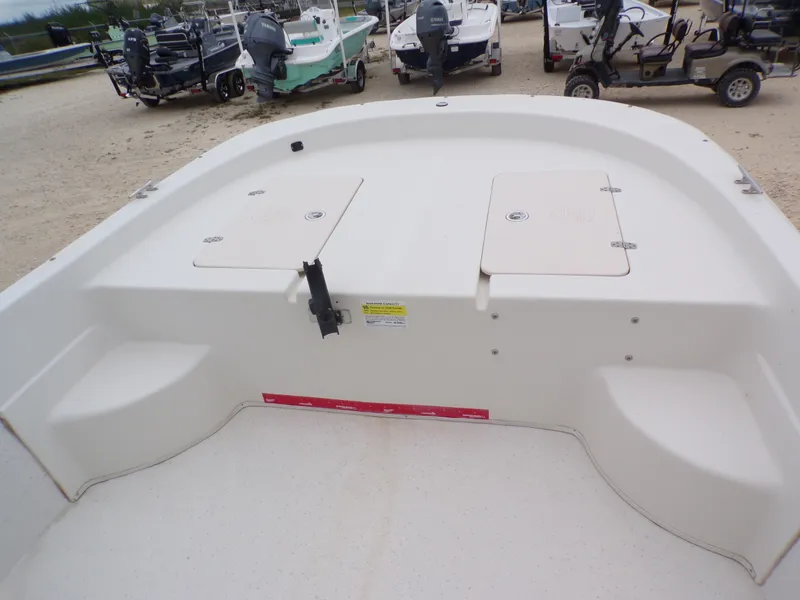 Slide: The Image of Carolina 238 DLV 2013 - 15