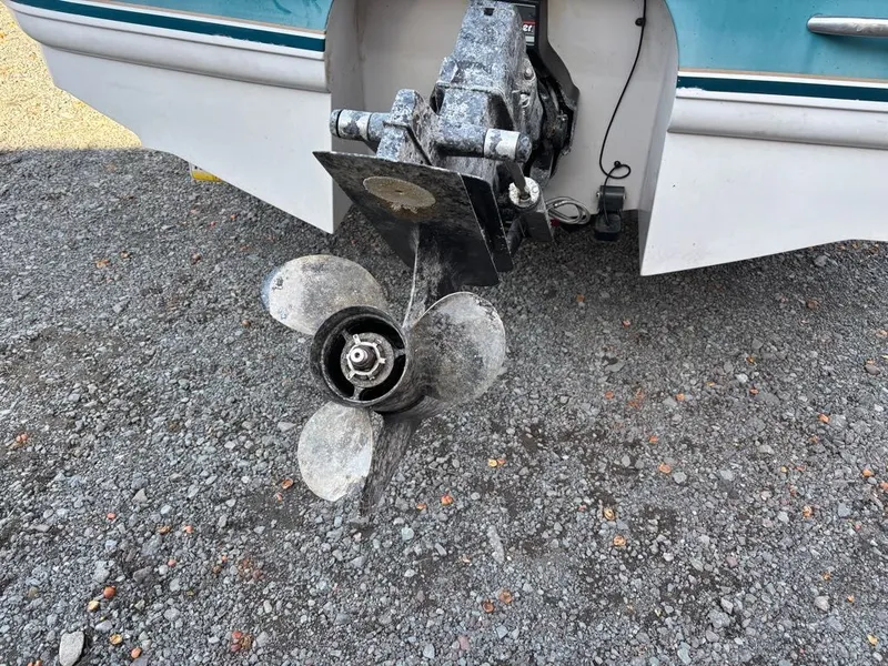 Slide: The Image of Chaparral 1930 1994 - 10