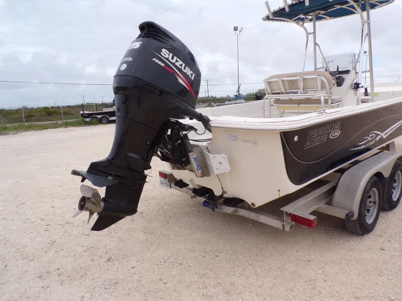 Slide: The Image of Carolina 238 DLV 2013 - 8