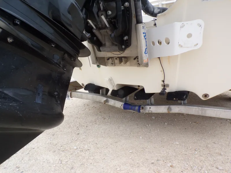 Slide: The Image of Carolina 238 DLV 2013 - 9