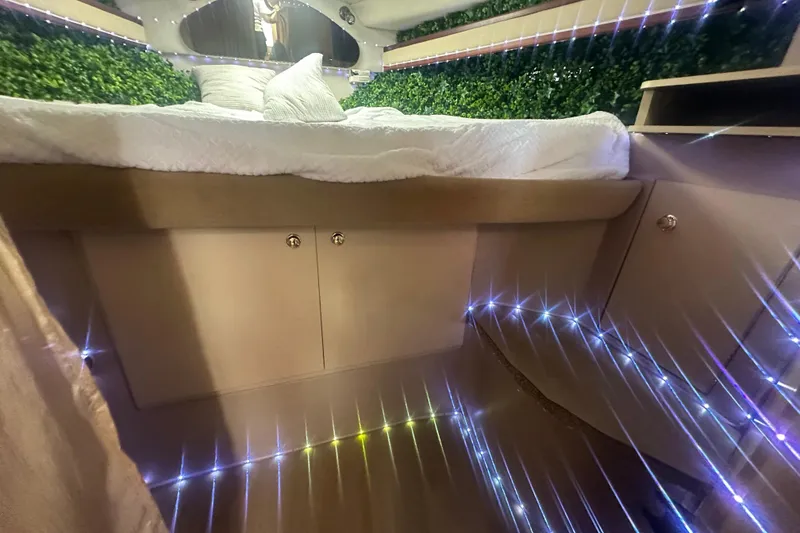 Slide: The Image of Luxurious cabin interior of 2001 Sea Ray 340 Sundancer with ambient lighting and greenery. - 40