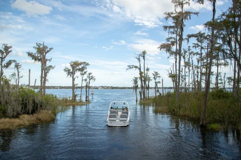 Slide: The Image of Regal LS4 2026 - 7