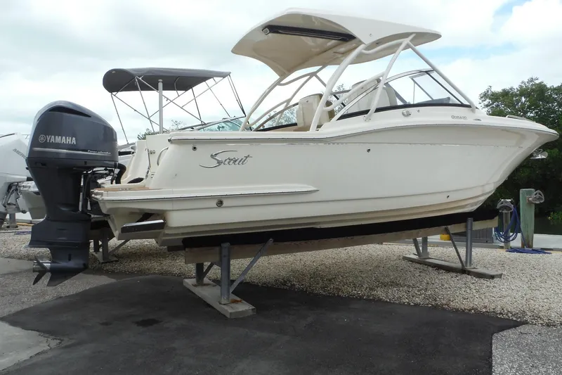The Image of Scout 255 Dorado 2017 - undefined