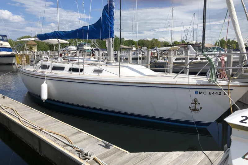 The Image of 1985 Catalina 36 MkII sailboat docked at marina with blue sail cover. - 0