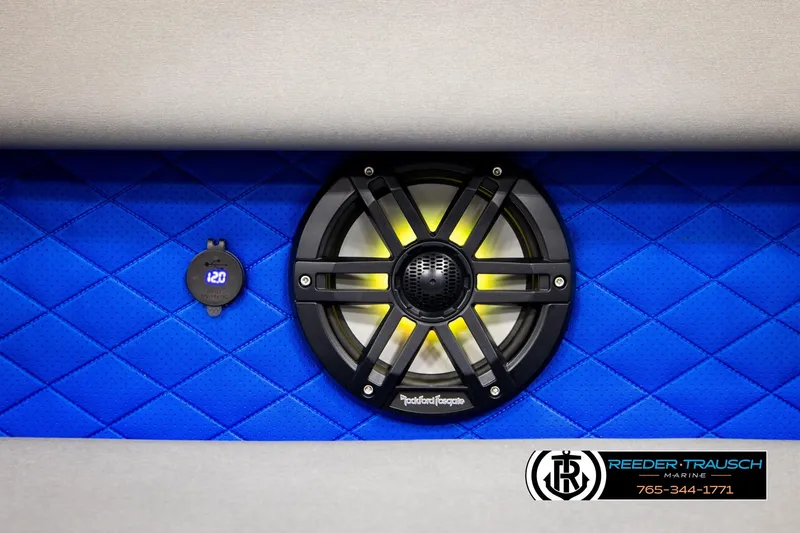 Slide: The Image of Speaker and voltage display on blue quilted panel, Bennington LTFBSE 2025. - 41