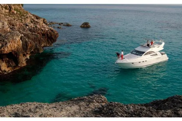 Slide: The Image of Manufacturer Provided Image - 4