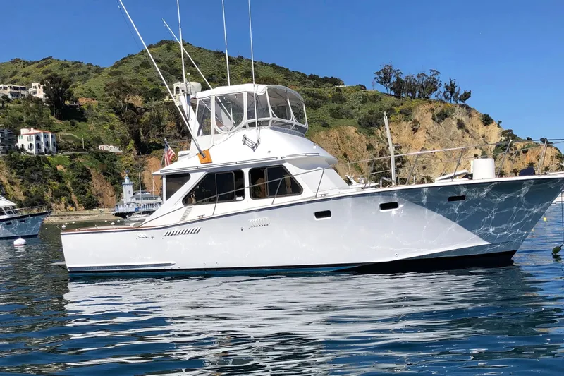 The Image of 1971 Pacifica 44 Convertible yacht on scenic coastal waters with lush hillside backdrop. - 0