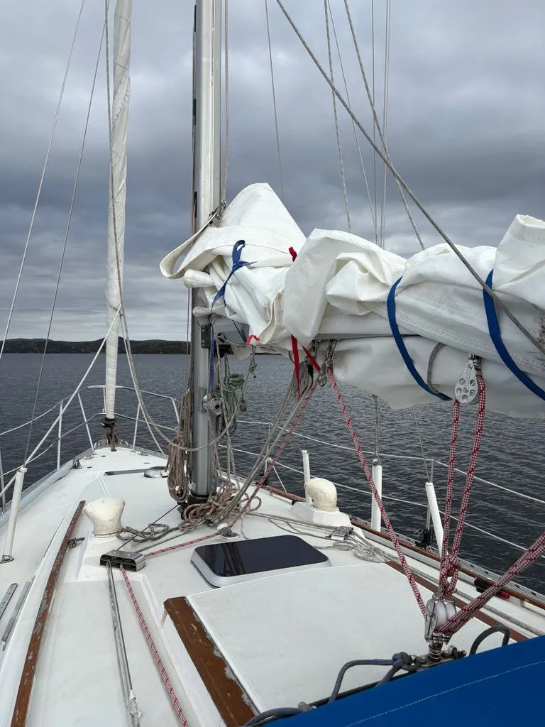 Slide: The Image of CAL 33 1984 - 14