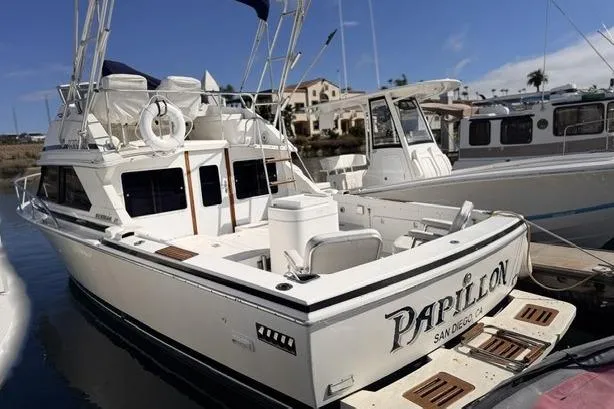The Image of 1991 Bertram 28 boat docked in marina, named "Papillon," with clear skies and nearby vessels. - 2