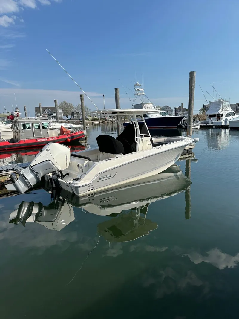 Slide: The Image of 2024 Boston Whaler 230 Outrage in harbor, calm waters. - 0