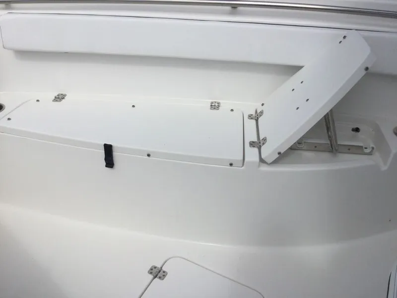 Slide: The Image of Sea Pro 262 TT DLX 2024 - 31