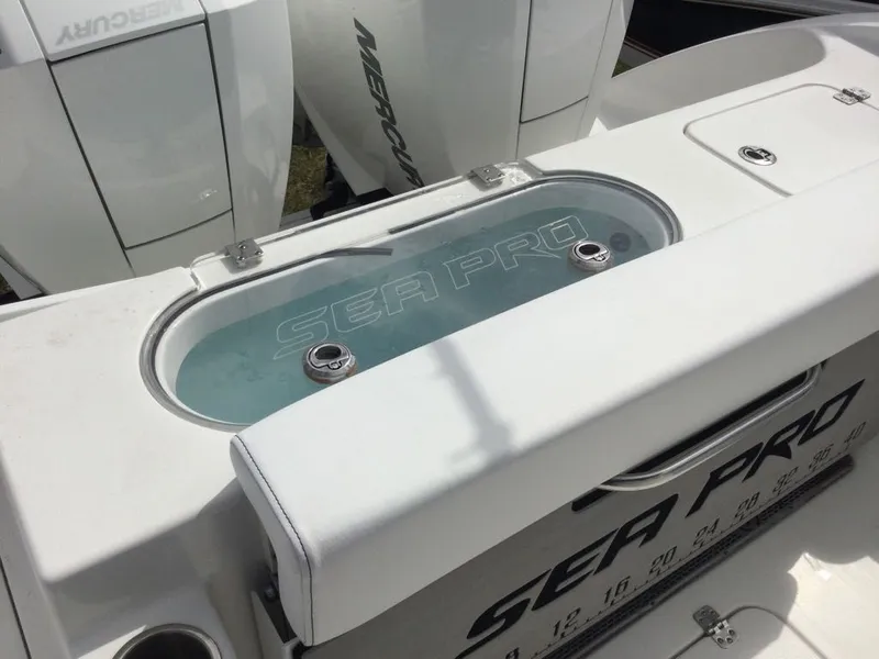 Slide: The Image of Sea Pro 262 TT DLX 2024 - 47