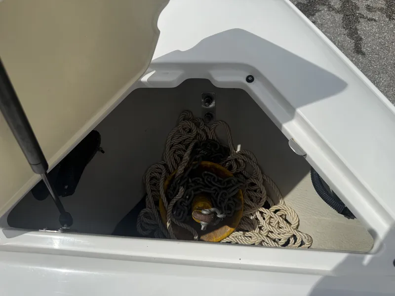 Slide: The Image of Cobalt 230 2010 - 19