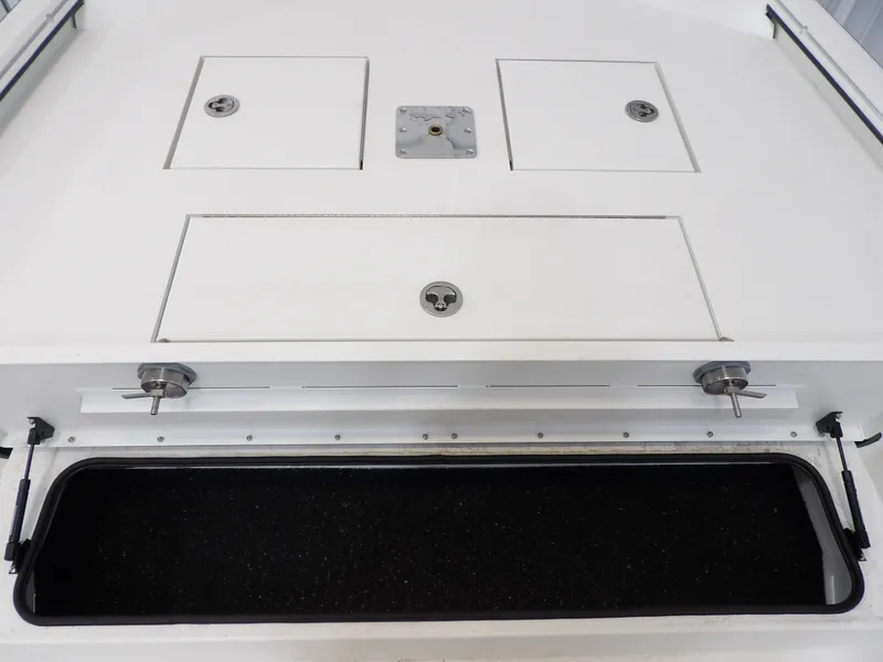 Slide: The Image of Avid 22CC ROGUE 2026 - 15