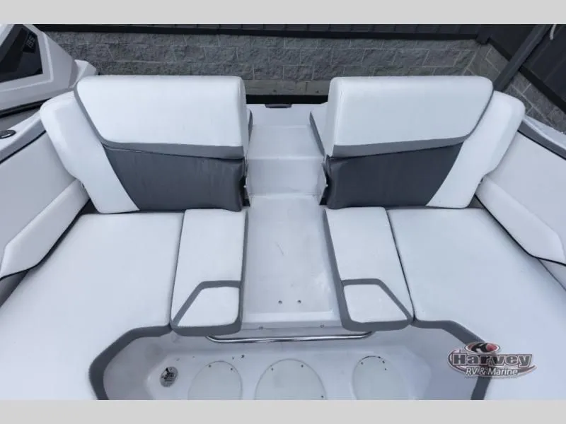 Slide: The Image of Scarab 195 ID 2019 - 11