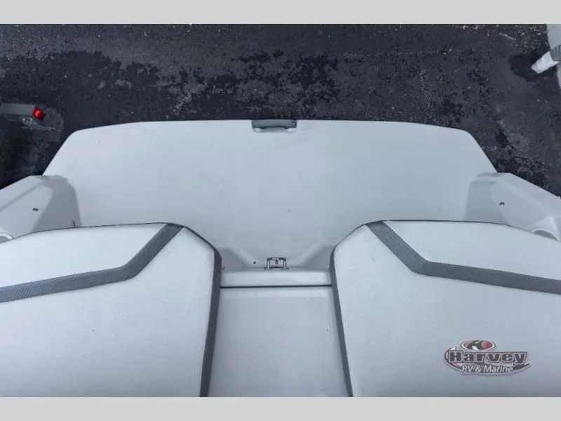Slide: The Image of Scarab 195 ID 2019 - 13
