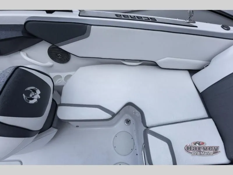 Slide: The Image of Scarab 195 ID 2019 - 14