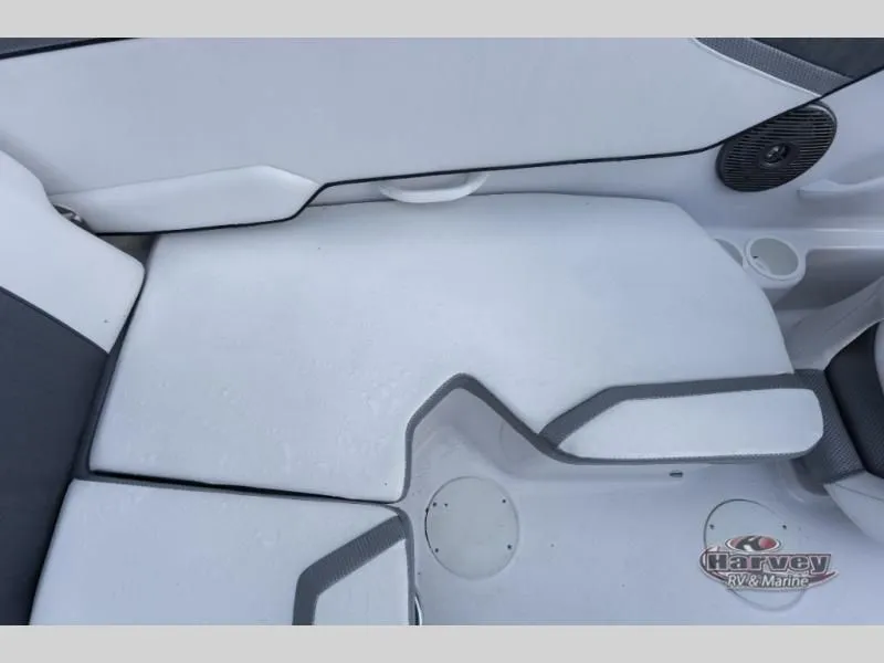 Slide: The Image of Scarab 195 ID 2019 - 16