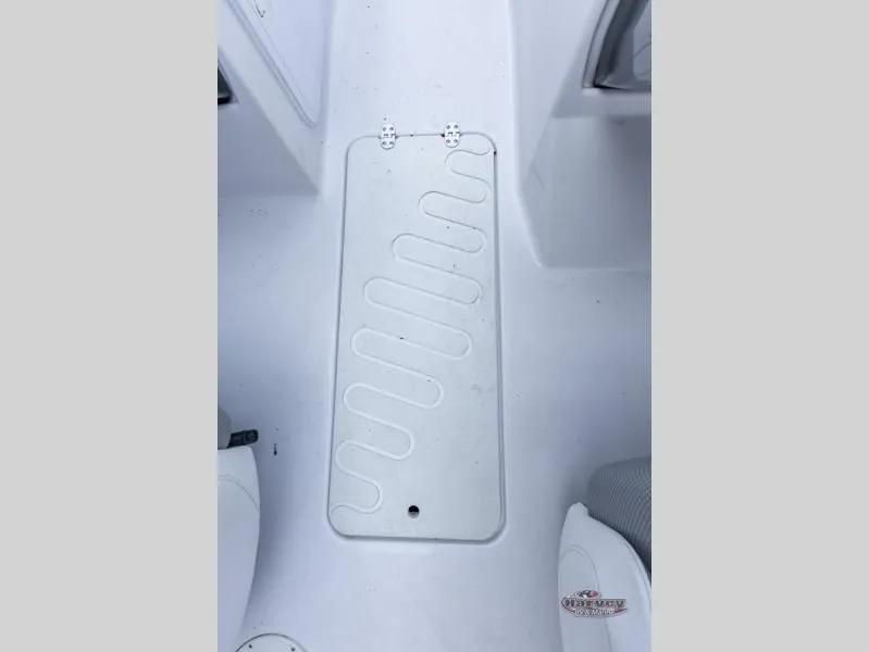 Slide: The Image of Scarab 195 ID 2019 - 29