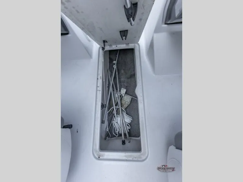Slide: The Image of Scarab 195 ID 2019 - 30