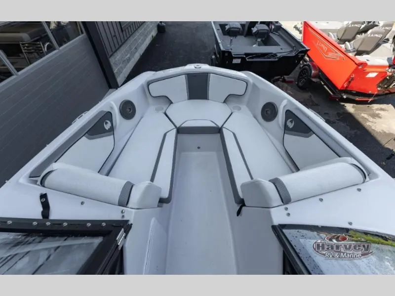 Slide: The Image of Scarab 195 ID 2019 - 7