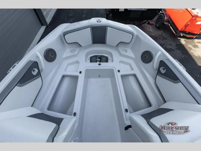 Slide: The Image of Scarab 195 ID 2019 - 8