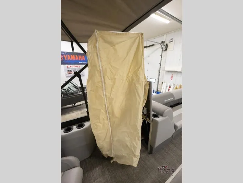 Slide: The Image of S Series 24 SSR-SPSSR 2025 - 11