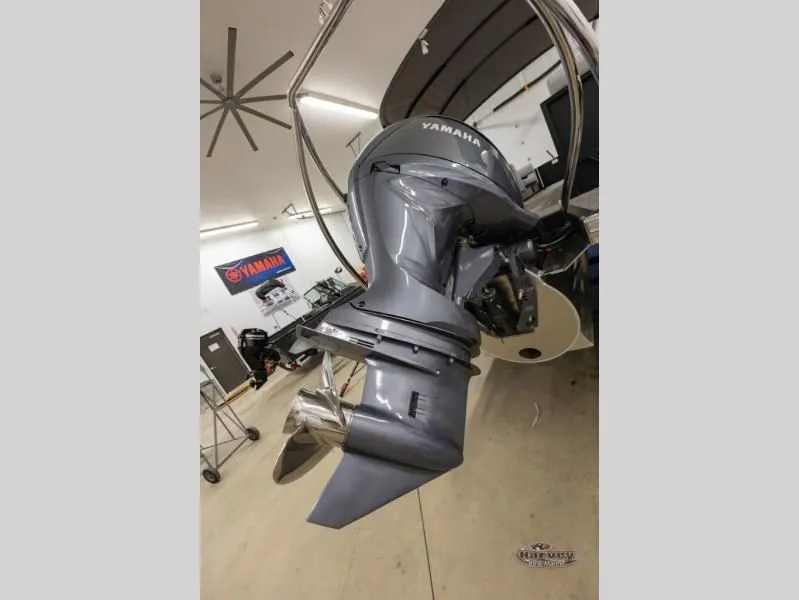 Slide: The Image of S Series 24 SSR-SPSSR 2025 - 5