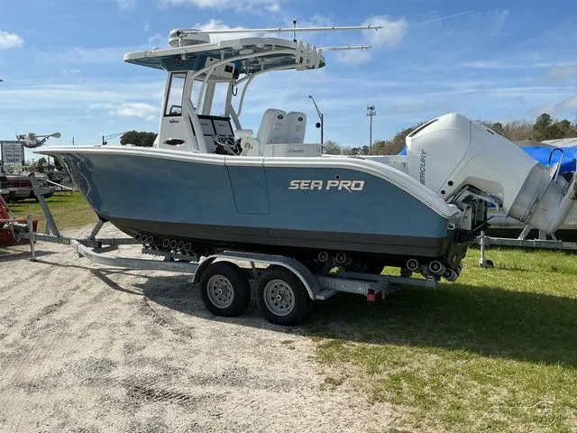 Slide: The Image of Sea Pro 262 TT DLX 2024 - 10