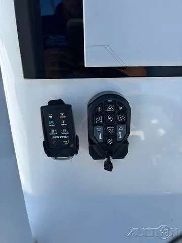 Slide: The Image of Sea Pro 262 TT DLX 2024 - 16