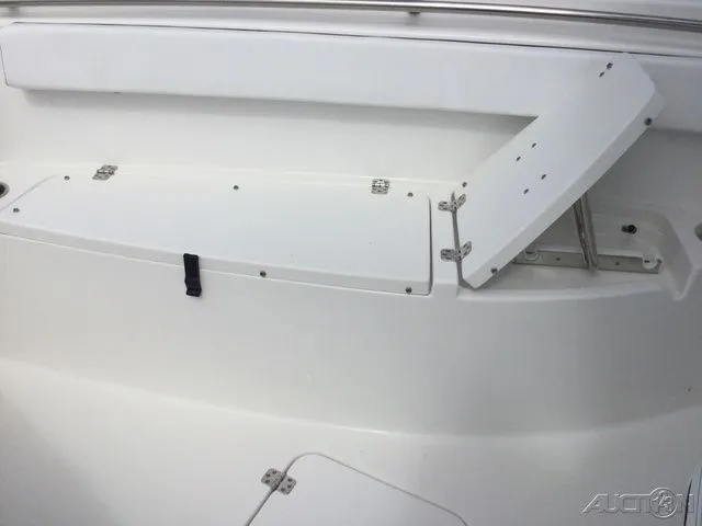 Slide: The Image of Sea Pro 262 TT DLX 2024 - 26