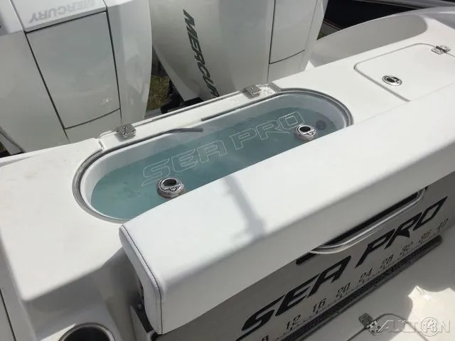 Slide: The Image of Sea Pro 262 TT DLX 2024 - 57