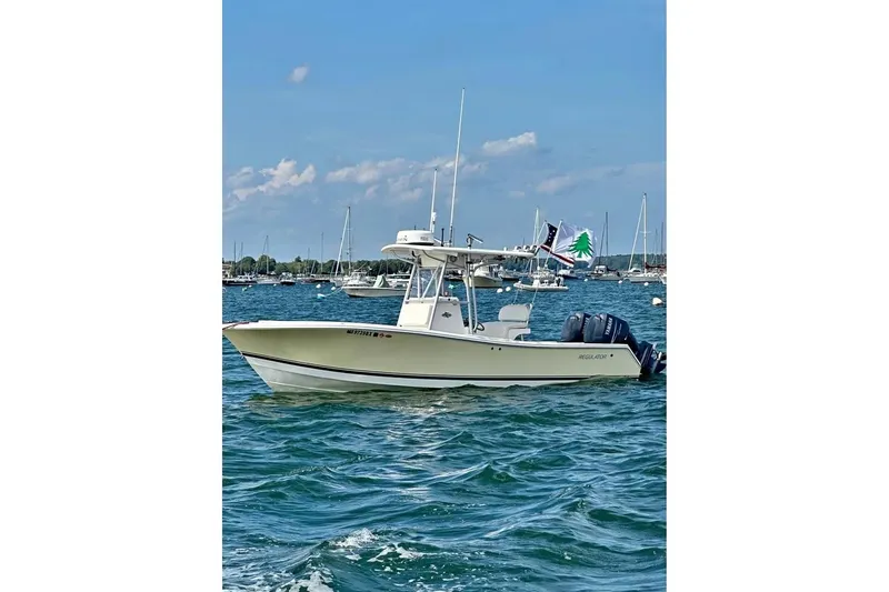 The Image of 2006 Regulator 24 Forward Seating boat on calm water, with flags and clear sky. - 0
