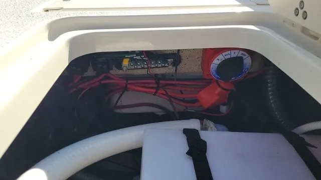 Slide: The Image of Carolina 24 Ultra Elite 2024 - 13