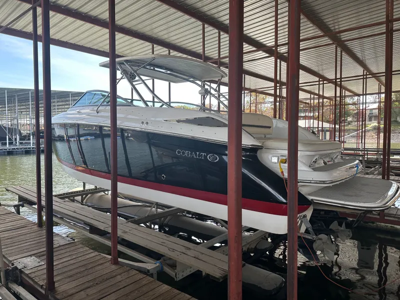 The Image of Cobalt 323 2008 - undefined