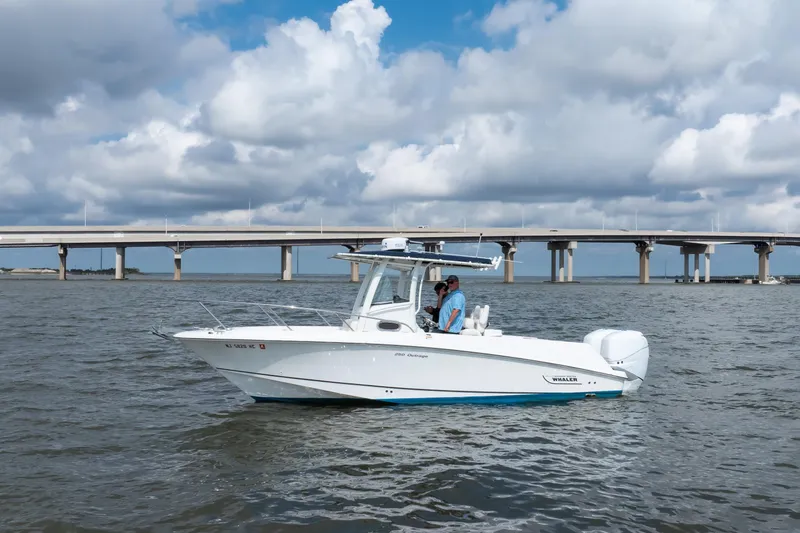 Slide: The Image of 2010 Boston Whaler 250 Outrage - 7