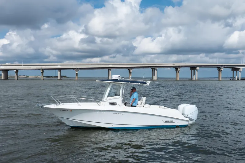 Slide: The Image of 2010 Boston Whaler 250 Outrage - 8