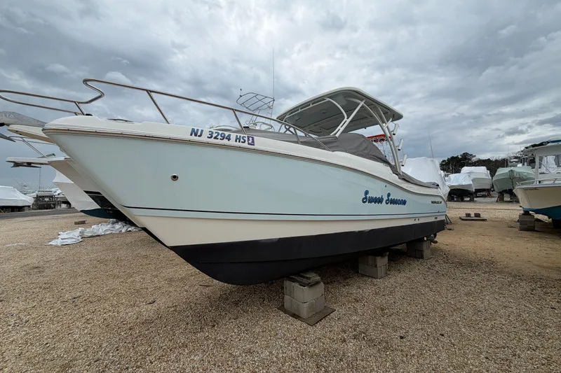 The Image of 2019 World Cat 255 DC boat on blocks, overcast sky background. - 1