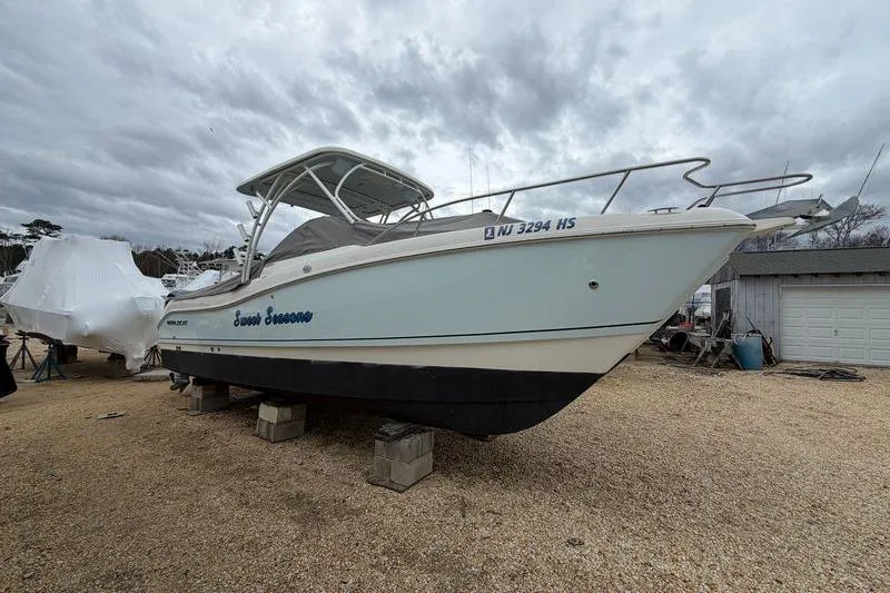 Slide: The Image of 2019 World Cat 255 DC boat on blocks, cloudy sky background. - 3